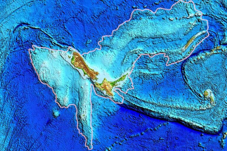 Geological discovery! Zealandia, the Earth's eighth "continent," discovered after 375 years